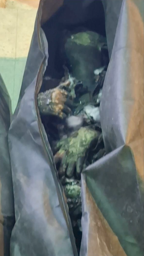 Kahrizak Evidence